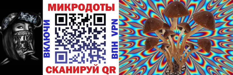 Купить  Баймак  Псилоцибиновые грибы Psilocybe 